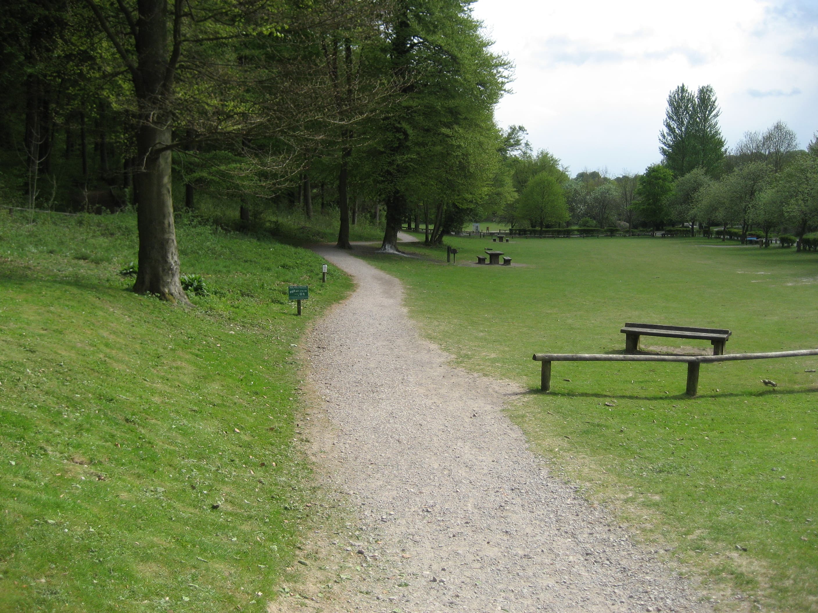 The picnic area at Queen Elizabeth Country Park near Clanfield
